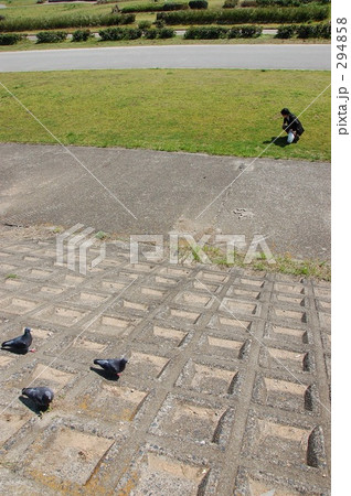 Birds and man. 294858