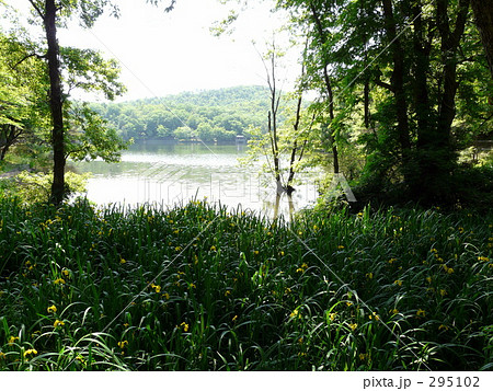 森と湖 295102