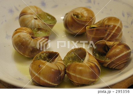エスカルゴ　ゴロゴロ 295356