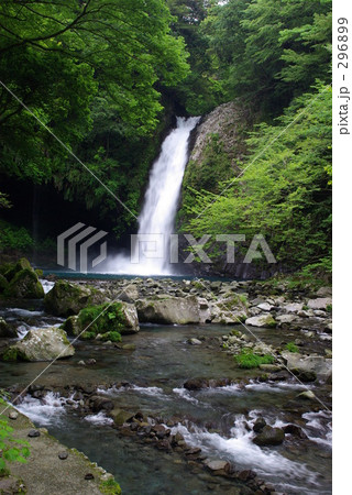 浄蓮の滝（縦構図） 296899