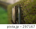 生垣賛歌 297167