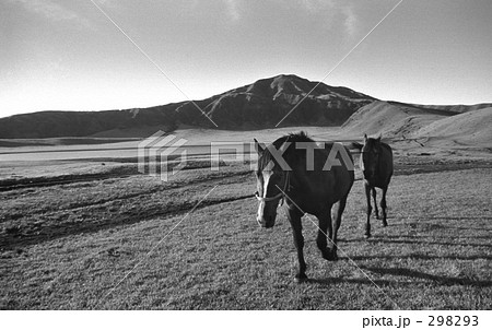 昭和の風景・阿蘇にて　昭和47年　 298293
