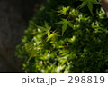 298819