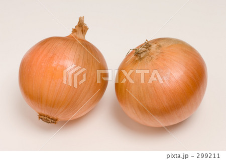 タマネギ タマネギ 299211