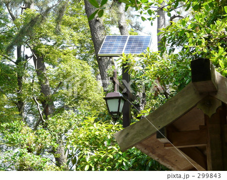 太陽電池 太陽電池 299843