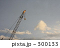 クレーン 300133