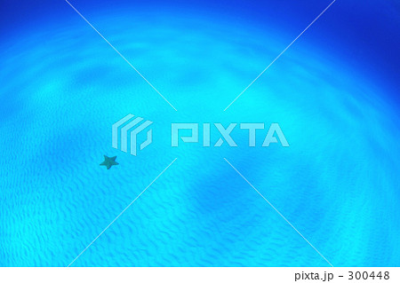 砂紋とヒトデ 300448