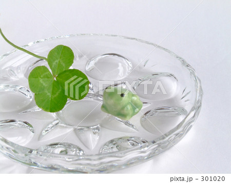 カエルのクローバー 301020