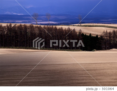 耕地の光 耕地の光 301064