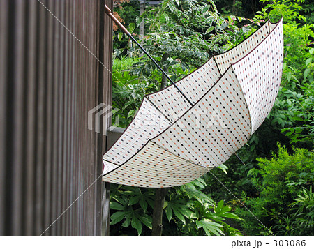 雨上がりの午後 303086