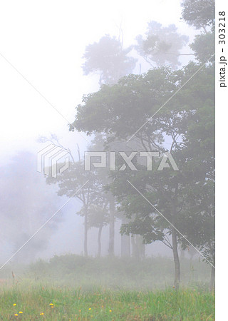 霧　２ 303218
