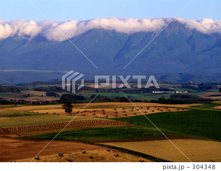 初秋の耕地 304348