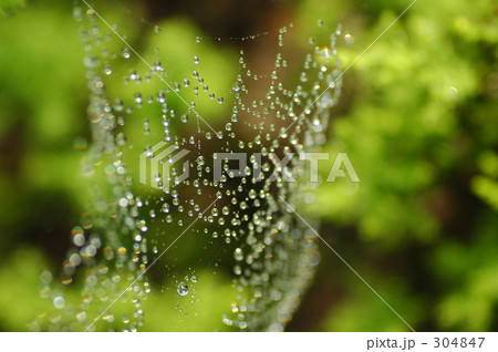 光のオブジェ 304847