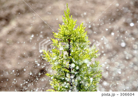 土と緑と水 土と緑と水 306604