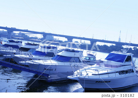 マリーナ 310182