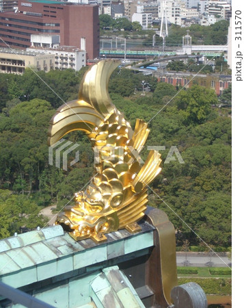 大阪城の鯱 311570