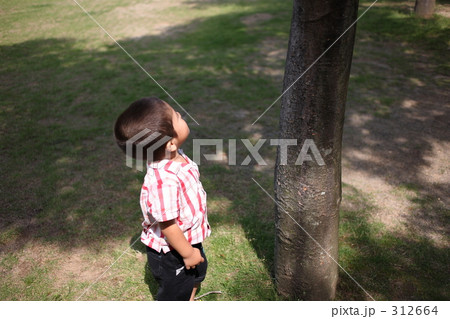 いがぐりの休日7 312664