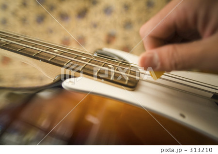 ベースを弾く 313210
