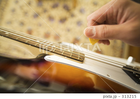 ベースを弾く 313215