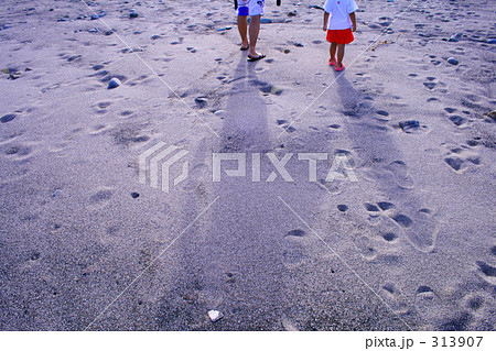 夏イメージ 313907