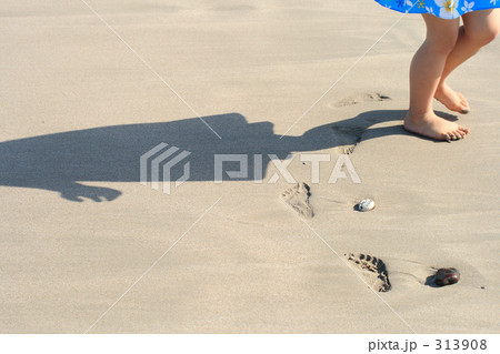 夏イメージ 313908