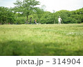 緑の広場 314904