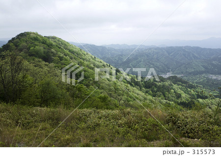 大野山の斜面 大野山の斜面 315573