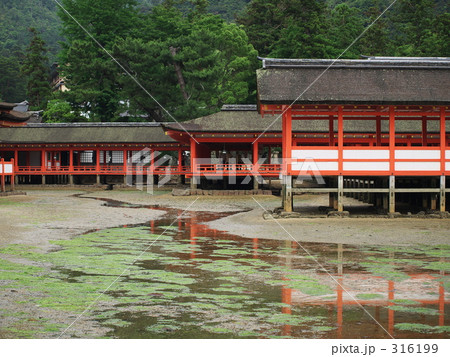 厳島神社 316199