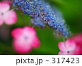 泣き出しそうな空のもと 317423