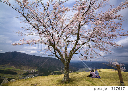 石垣と桜の山城 石垣と桜の山城 317617