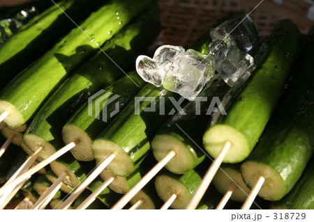 冷やしきゅうり 318729