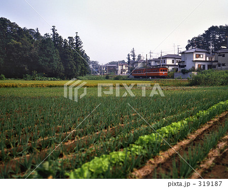 鉄道・私鉄 流山電鉄 昭和58年 鉄道・私鉄 流山電鉄 昭和58年 319187