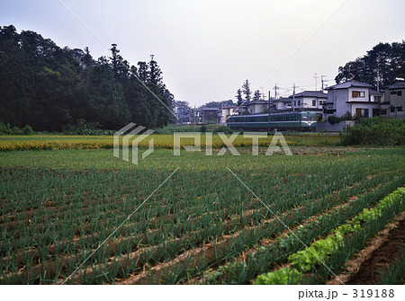鉄道・私鉄 流山電鉄 昭和58年 鉄道・私鉄 流山電鉄 昭和58年 319188