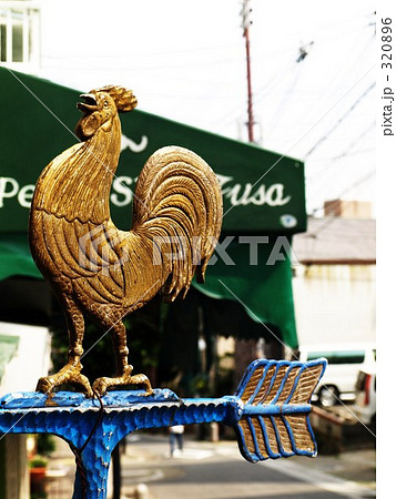 コケコッコ コケコッコ 320896