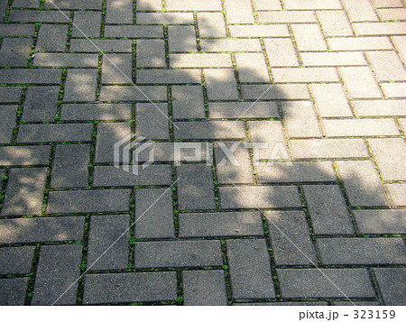 木の影 木の影 323159