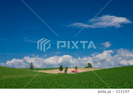 青い空・赤い屋根の家 323197