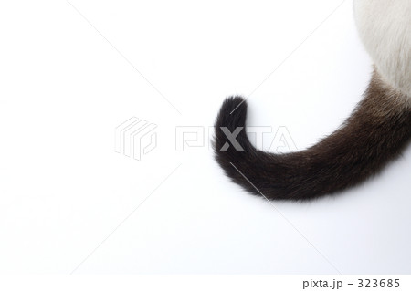 ご機嫌カーブ・・・・ 323685