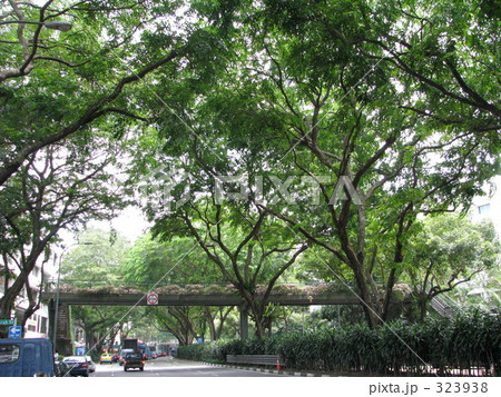 ガーデンシティー 323938