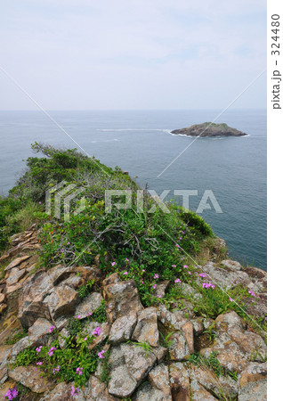 日向岬 324480