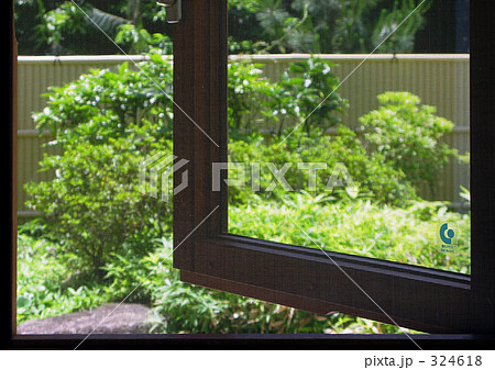 網戸越しの庭 324618