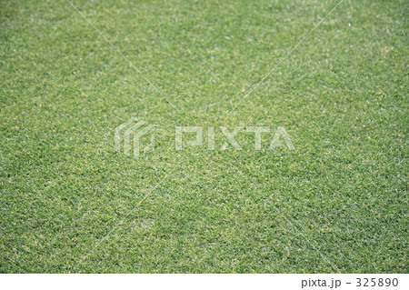 芝生2 芝生2 325890