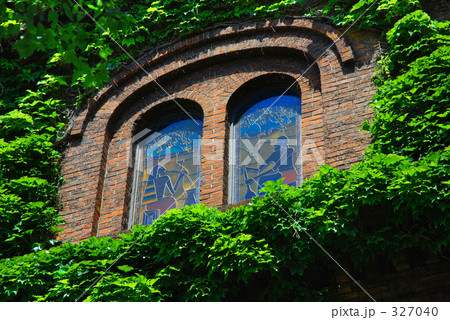 蔦のからまる窓　 327040