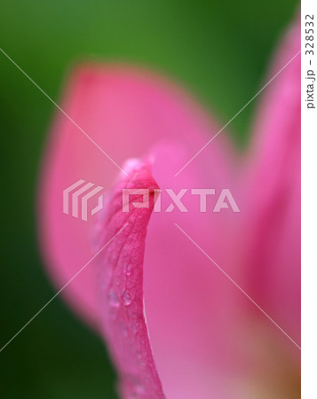 ここだけ！ 328532