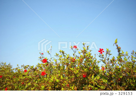 under the sky 329153