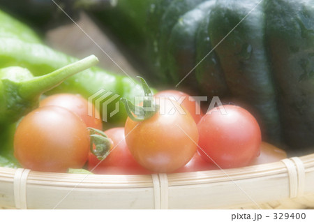 夏野菜 夏野菜 329400
