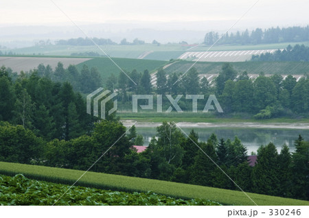 霧の丘 霧の丘 330246