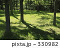 樹木と緑 330982