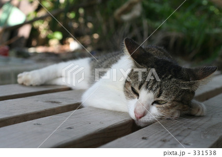 まどろみ まどろみ 331538