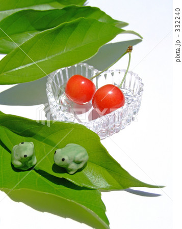チェリーとカエル 332240