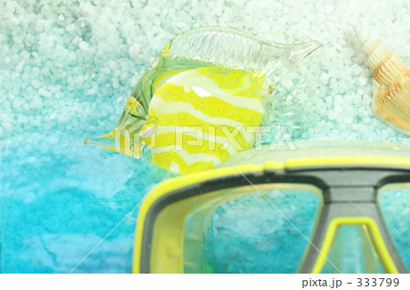 スノーケリング 333799